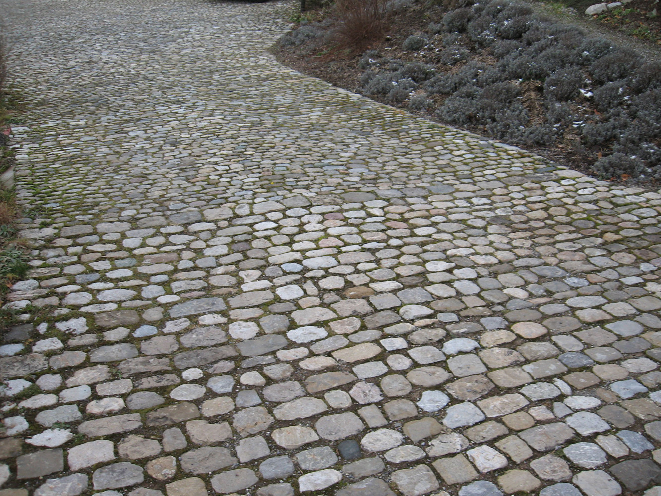 Gartenplatten - Kanton Schwyz