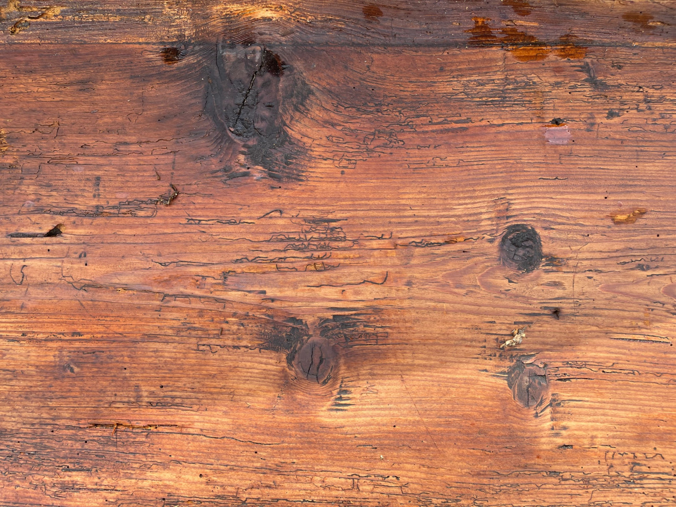  - Gotische & Antike Decken / Bodenbretter